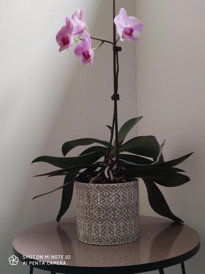 لو مان Chambre D'Hotes Du Muguet Avec Sdb Privative المظهر الخارجي الصورة